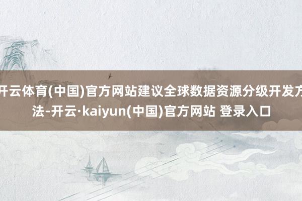 开云体育(中国)官方网站建议全球数据资源分级开发方法-开云·kaiyun(中国)官方网站 登录入口