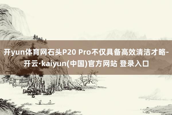 开yun体育网石头P20 Pro不仅具备高效清洁才略-开云·kaiyun(中国)官方网站 登录入口
