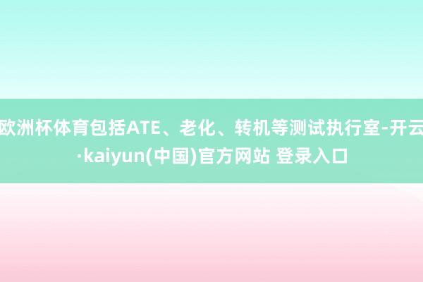 欧洲杯体育包括ATE、老化、转机等测试执行室-开云·kaiyun(中国)官方网站 登录入口