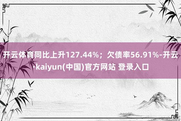 开云体育同比上升127.44%；欠债率56.91%-开云·kaiyun(中国)官方网站 登录入口