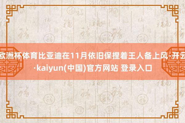 欧洲杯体育比亚迪在11月依旧保捏着王人备上风-开云·kaiyun(中国)官方网站 登录入口