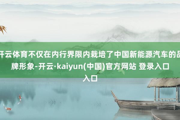 开云体育不仅在内行界限内栽培了中国新能源汽车的品牌形象-开云·kaiyun(中国)官方网站 登录入口