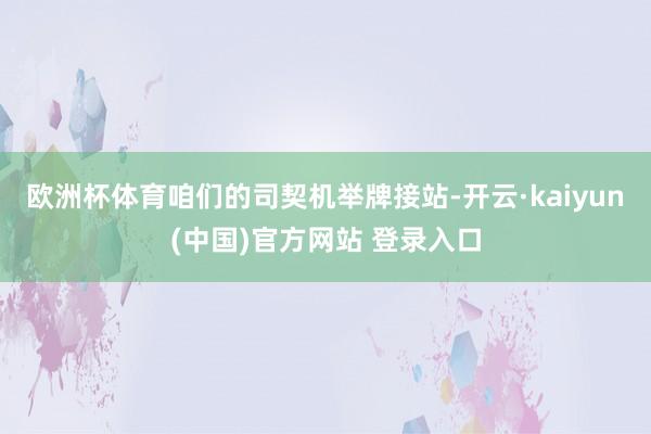 欧洲杯体育咱们的司契机举牌接站-开云·kaiyun(中国)官方网站 登录入口