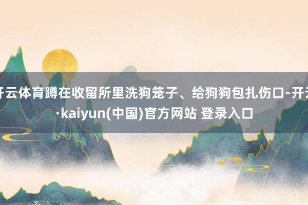 开云体育蹲在收留所里洗狗笼子、给狗狗包扎伤口-开云·kaiyun(中国)官方网站 登录入口