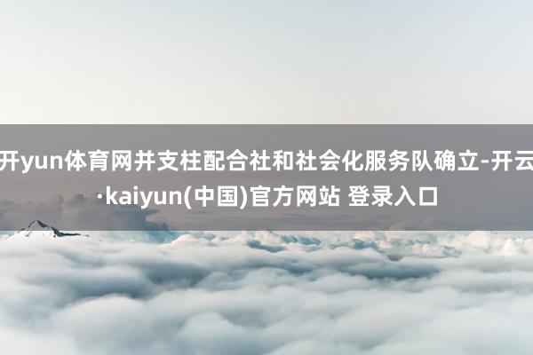 开yun体育网并支柱配合社和社会化服务队确立-开云·kaiyun(中国)官方网站 登录入口